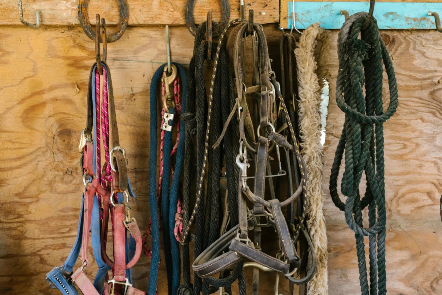 Bali Horse Riding