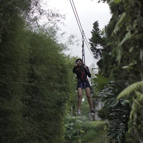Flying Fox Bali