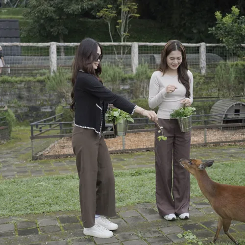 Animal Feeding - Wahana The SILA'S Agrotourism