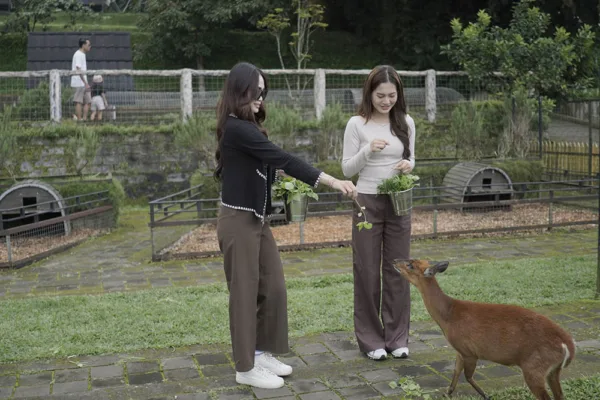 Animal Feeding - Wahana The SILA'S Agrotourism