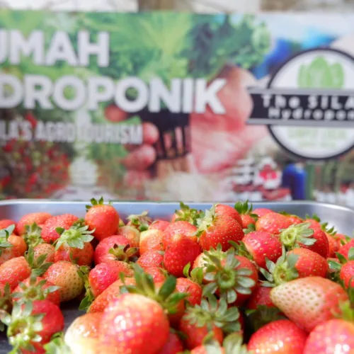 Botanical Journey - Wahana The SILA'S Agrotourism