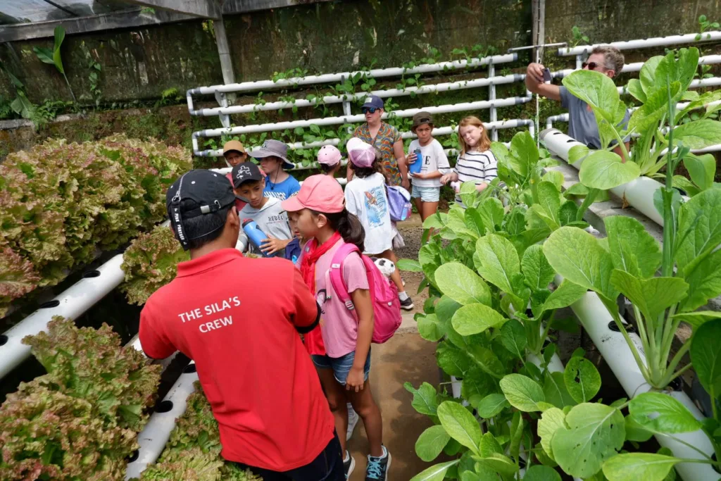 Botanical Journey - Wahana The SILA'S Agrotourism
