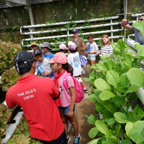 Botanical Journey - Wahana The SILA'S Agrotourism