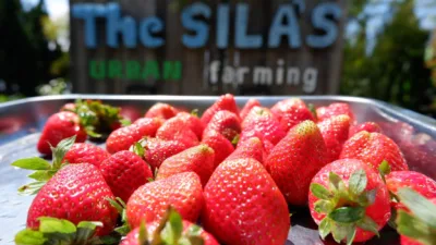 The SILA'S Farm