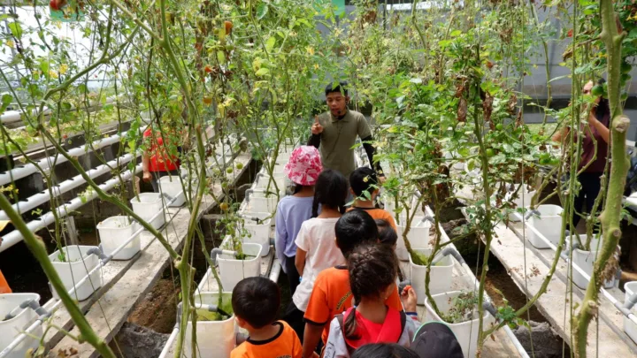 Botanical Journey - Wahana The SILA'S Agrotourism