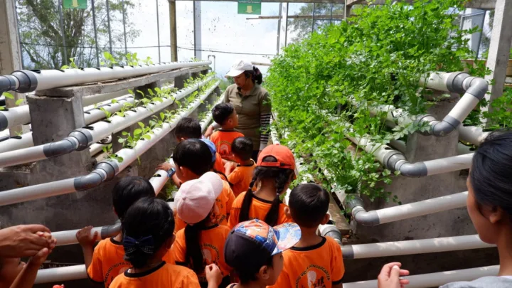 Botanical Journey - Wahana The SILA'S Agrotourism