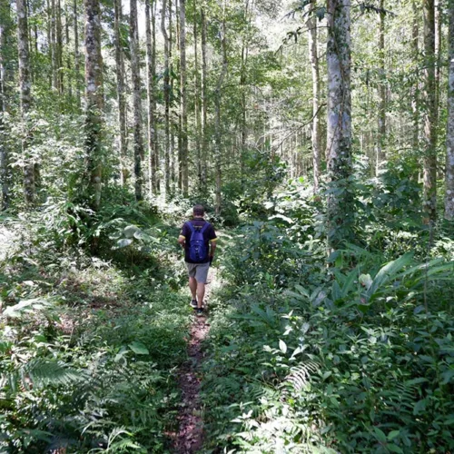 Trekking