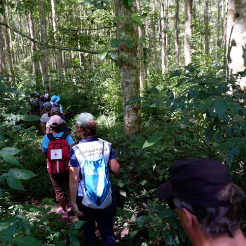 Trekking