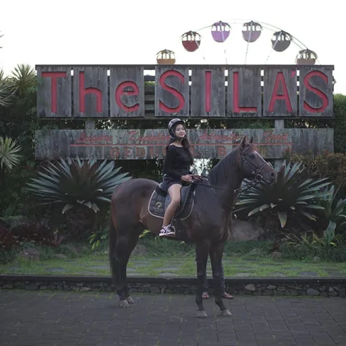 Bali Horse Riding