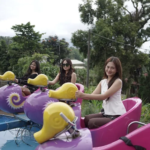 Snail Force