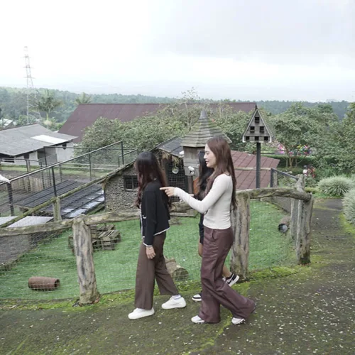 Animal Feeding - Wahana The SILA'S Agrotourism