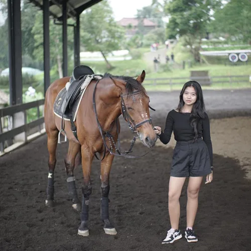 Bali Horse Riding