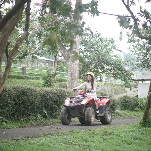 ATV (All Terrain Vehicle) Bali