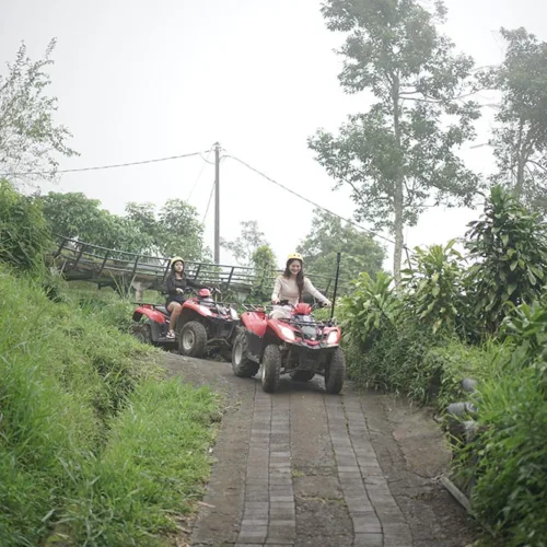 ATV (All Terrain Vehicle) Bali