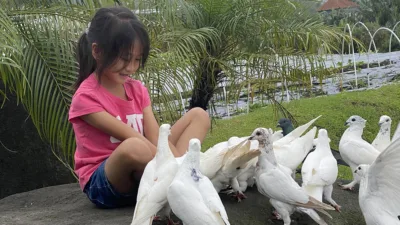 Animal Feeding - Wahana The SILA'S Agrotourism