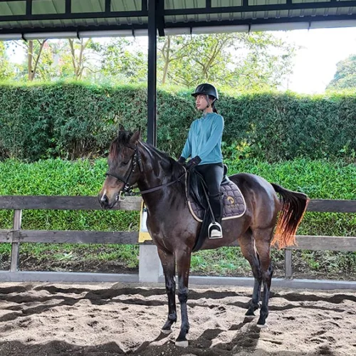 Bali Horse Riding