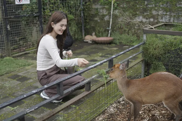 Animal Feeding - Wahana The SILA'S Agrotourism