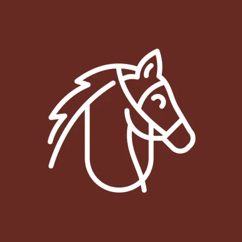 Bali Horse Riding