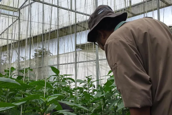 Botanical Journey - Wahana The SILA'S Agrotourism