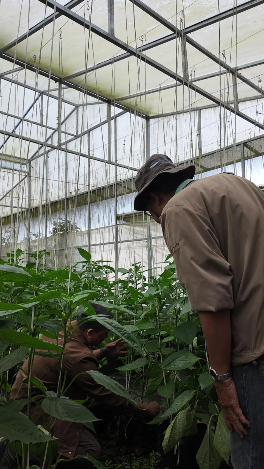 Botanical Journey - Wahana The SILA'S Agrotourism