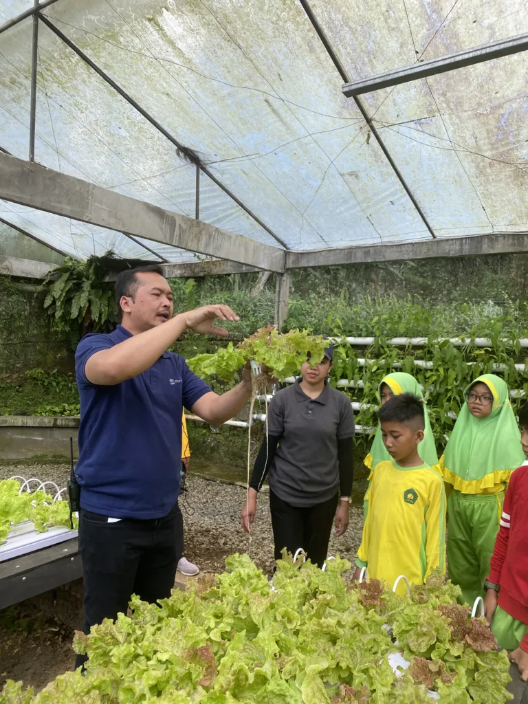 Rumah Hydrophinic - The SILA'S Agrotourism